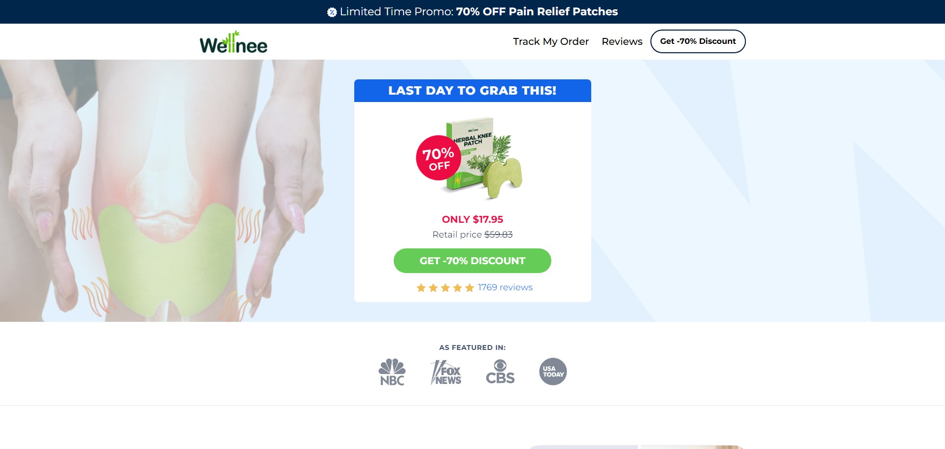 Wellnee Pain Relief Patches